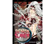 Demon Slayer: Kimetsu no Yaiba, Vol. 22