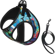 Color Acoustic and Guitars print Dog Harness and Leash Set, Reflective Adjustable Puppy Vest for Small Medium Large Dogs, Cats