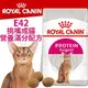 此商品48小時內快速出貨》FHN 新皇家飼料《E42挑嘴成貓營養滿分配方》2KG(蝦)