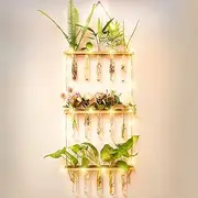 MYFINCA Propagation Stations Wall Hanging Planter Terrarium with LED Lights & Wooden Stand Propogation Planters Glass Tube Vase for Hydroponic Plant Cutting Flower, Home Decor (3Tier 16Tubes)