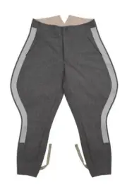 WW2 German Elite General Stone Grey Wool Breeches