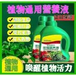 【台灣出貨】超濃縮 植物 營養液 花肥 通用 化肥料 傢用 綠植 盆栽 綠蘿 葉黃 萬能 富貴竹 開運竹 龜00