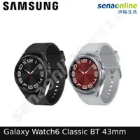 在飛比找有閑購物優惠-Samsung三星 Galaxy Watch6 Classi