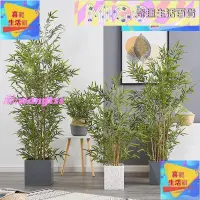 在飛比找露天拍賣優惠-假樹 假植物 琴葉榕 綠植 仿真植物竹子室內裝飾盆栽擺件大型
