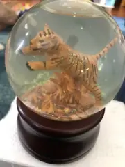 Tiger Snowglobe Water Globe Music Box Smithsonian Save That Tiger LSU