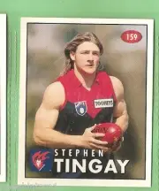 1996 AFL SELECT STICKER #159 STEPHEN TINGAY, MELBOURNE DEMONS