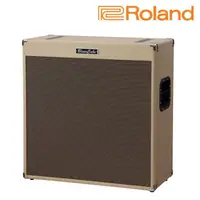 在飛比找樂天市場購物網優惠-公司貨 Roland Blues Cube 410 4x10