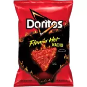 Doritos FLAMIN HOT NACHO Flavor Tortilla Chips 9.25 oz (1 Bag)