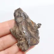 76g Gebel Kamil iron meteorite, from Egypt,Gift, meteorite, specimen R1094