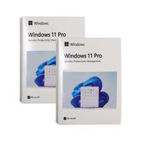 Win11pro專業版彩盒usb windows 11 pro 正版 金鑰卡 作業系統 支援繁體