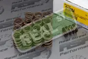 Ferrea Dual Valve Springs 4G63T DSM 1G 2G Eclipse 6 7 bolt Evo 1-9 Mitsubishi
