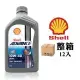 殼牌 Shell Advance 4T Ultra 10W40 全合成機車機油(一組12入)