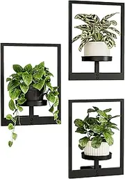 Bamworld Picture Frame Wall Plant Holder Window Plant Shelf Wall Decor Wall Hanging Planters Plant Hanger Outdoor Wall-Mounted Plant Rack Black Metal 3 Pack (Patent Design)