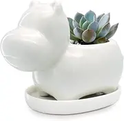 GeLive White Hippo Planter Mini Ceramic Succulent Plant Pot with Tray Saucer Decorative Flower Vase Fun Animal Decor (White)