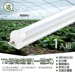 LED T8 全光譜 植物燈管 植物生長燈   2呎 免支架 全電壓 一體式鋁合金散熱器 多肉植物燈1