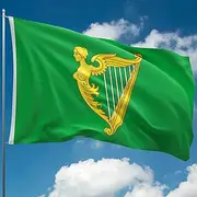 Irish Flag – Ireland Flag with Coat of Arms Harp - Éire tricolour flag - Double-sided Digital Print - 110Den Thick polyester - Double Seam - 2 brass eyelets, large 5ft x 3ft