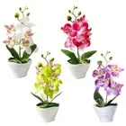 Brand New Artificial Flower Orchid Flowers Fake Bonsai Artificial Decor