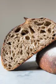 TANGY SAN FRANCISCO ORIGINAL SOURDOUGH YEAST WHARF BONANZA