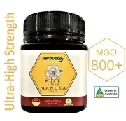 Ultra-High Strength MGO 800+ 250g 100% Australian Manuka Honey | Herb Valley