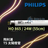 在飛比找蝦皮購物優惠-【AC草影】PHILIPS 飛利浦 T5 太陽燈管 HO 8