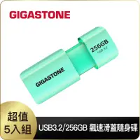 在飛比找momo購物網優惠-【GIGASTONE 立達】256GB USB3.1/3.2