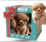 2025 New Robot Dog for Adults, AI Robotic Dog, Nicoo - My Realistic Robot Puppy That Acts Like a Real Puppy - Walking, Barking, Tail Wagging