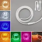 32.8ft 110V 220V LED Neon Rope Light Strip IP67 Flexible 6mm Outdoor Home Decor