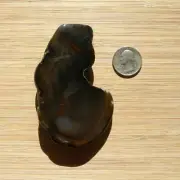 Agate Geode Slice Cut Polished Display Stone Dark Gray and Brown Banded Crystal