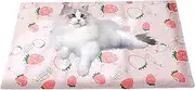 Cooling Cat Bed,Cool Pet Play Mats Pads - Washable Bedding for Kittens, Portable Non-Slip Mattress for Camping, Indoor, Outdoor, Puppy Travel