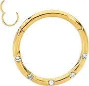 [365 Sleepers] Titanium Implant Grade 16G 8mm 10mm Gem Hinged Segment Ring Helix Tragus Septum Clicker Nose Hoop Earring Body Piercing Jewellery