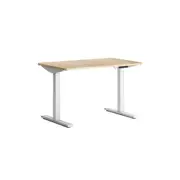 Lazy Maisons Dual 120cm Sit Stand Desks