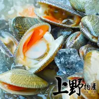 在飛比找momo購物網優惠-【上野物產批發館】帶殼海瓜子(500g±10%/包)