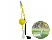 Aussie Dog Home Alone Toy Large - Multi