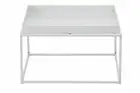SALE Elpha Tray Square Steel Coffee Table 60x60cm Modern Living Room Home Decor