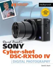 David Busch's Sony Cyber-Shot DSC-RX100 IV Guide to Digital Photography Book~NEW