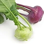 Kohlrabi White Vienna & Purple 200+ Seeds Winter Vegetable Garden 2pks