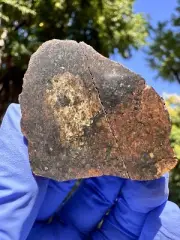 meteorite: NWA 16794 Weight 55.6 Grams Beautiful L6