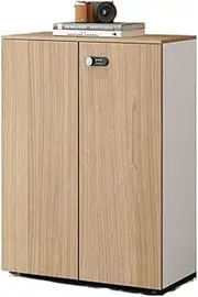 Single Wooden Filing Cabinet Original Wood Color Double Door Storage Data Cabinet