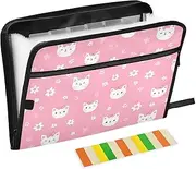 Duty Expanding File 13 Pockets A4 Letter Size with Zipper Closure for Document Storage Cute Cartoon Cat Floral Peach carpetas de