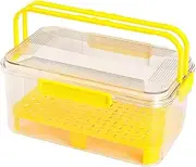 Fruit Storage Container,Food Container for Outdoors | Entertaining Serving Reusable Kitchen Case with Handle for Dorm Camping Picnic Salad Fruits Dessert