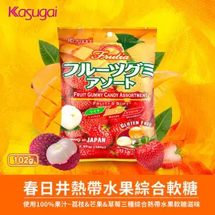 Kasugai春日井 水果綜合/熱帶水果綜合/葡萄/麝香葡萄軟糖 現貨 蝦皮直送