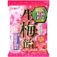 【Ribon】紀州梅肉飴(65g)