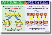 Even & Odd Numbers - School Classroom Math POSTER