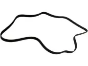 SKP 93ZK76Q Multi Rib Belt Fits 1998-2000 Isuzu Amigo 3.2L V6 GAS