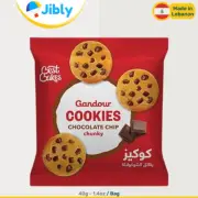 Lebanese Gandour Chocolate Chip Cookies|Tasty Snacks|40g Bag|Wholesale Deals