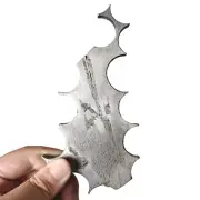 212g Muonionalusta meteorite part slice CC20