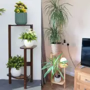 Super Sturdy & Nice Varnished Wood Corner Plant Stand Flower Shelf Hold up 30kg