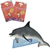 Flashcards Zoo Fun Education Animals Augmented Reality 4D Cards