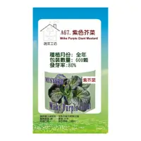 在飛比找PChome24h購物優惠-A67.紫色芥菜種子