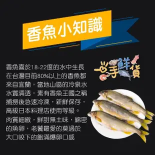 【一手鮮貨】宜蘭冷泉養殖公香魚(2盒組/單盒950g±5%)